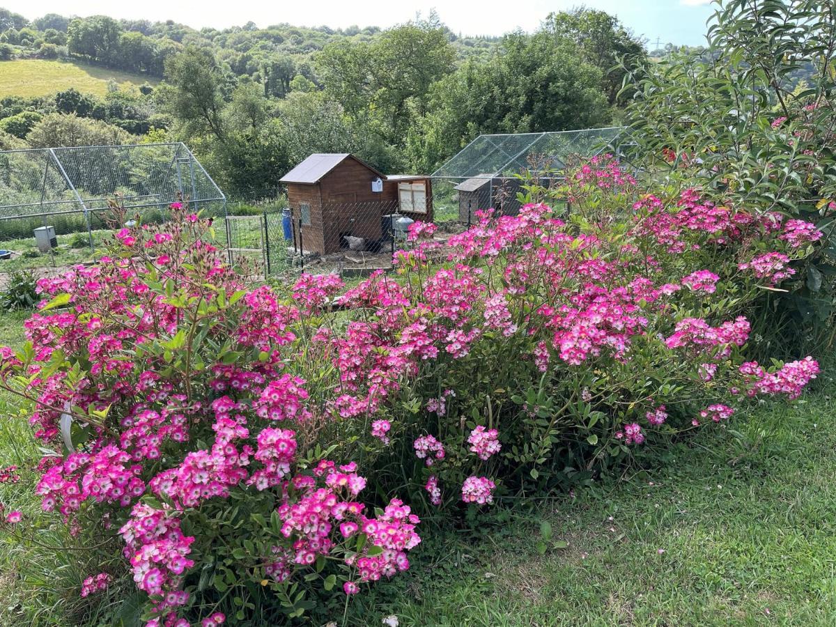 Keryanti Domaine De Lesleac'H Villa Le Ponthou Luaran gambar